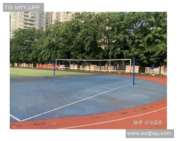 深圳排球队实力分析与表现评估的全面研究与探讨